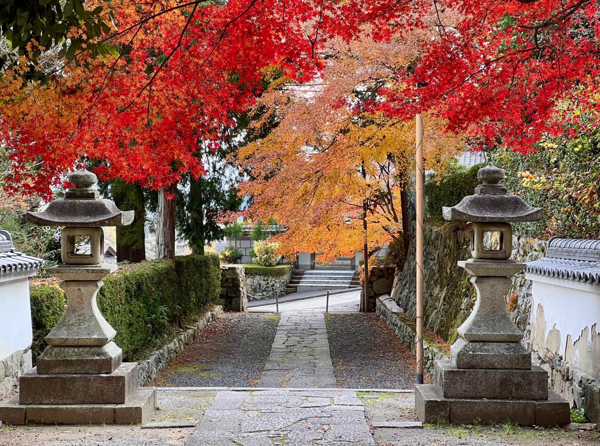 Jonni'S Place Sakamoto  エクステリア 写真
