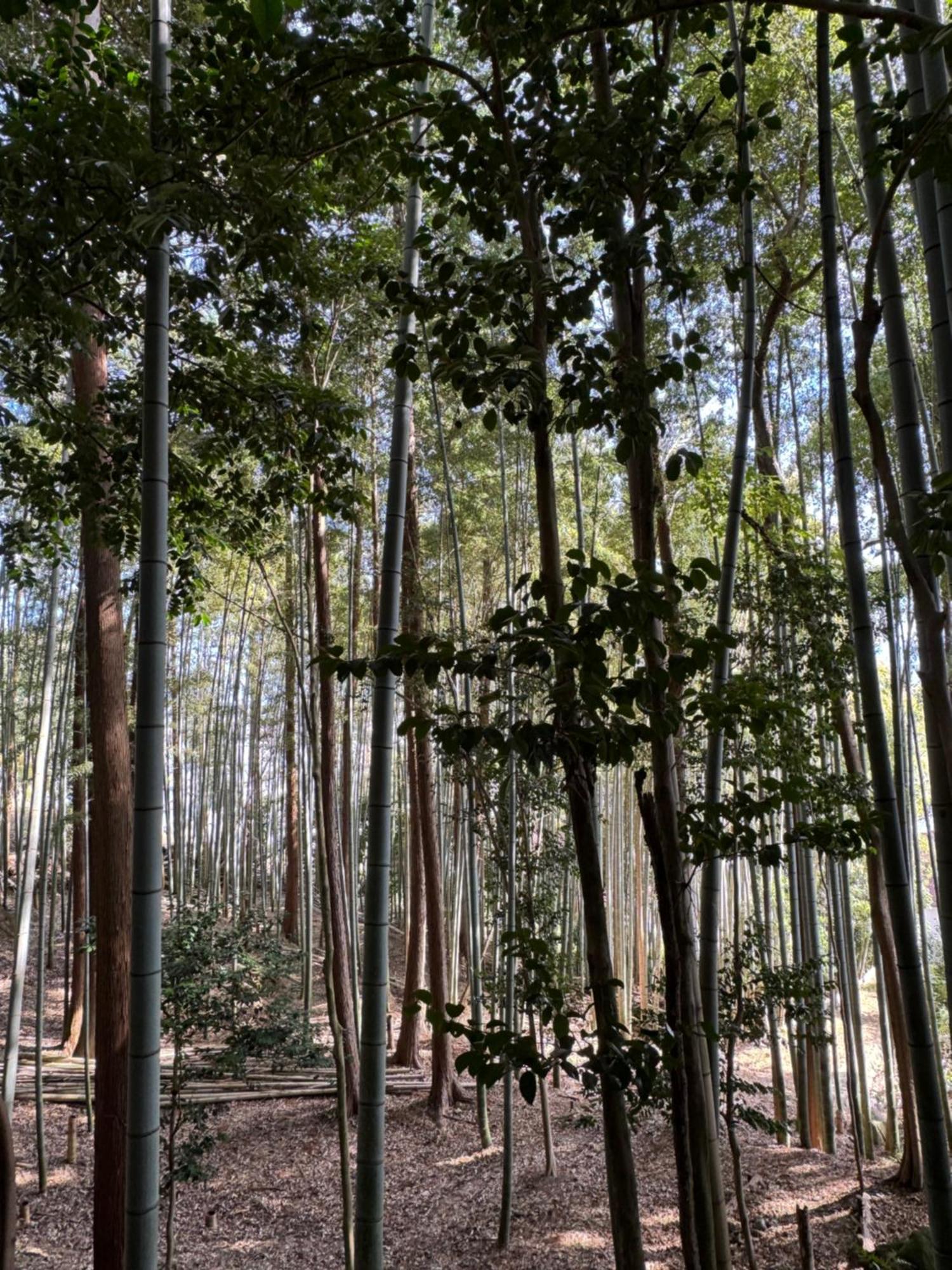 Jonni'S Place Sakamoto  エクステリア 写真
