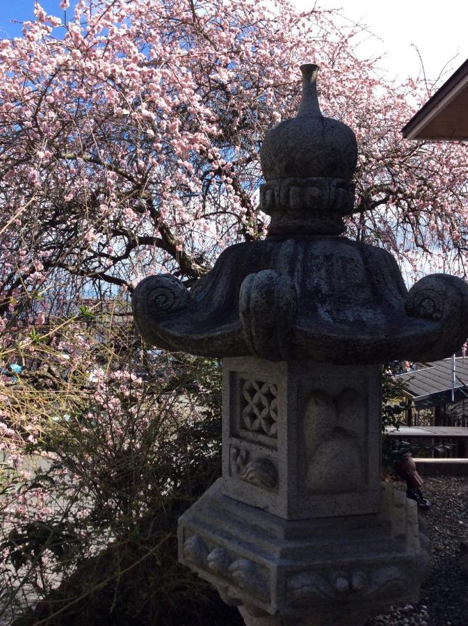 Jonni'S Place Sakamoto  エクステリア 写真